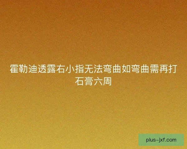 霍勒迪透露右小指无法弯曲如弯曲需再打石膏六周